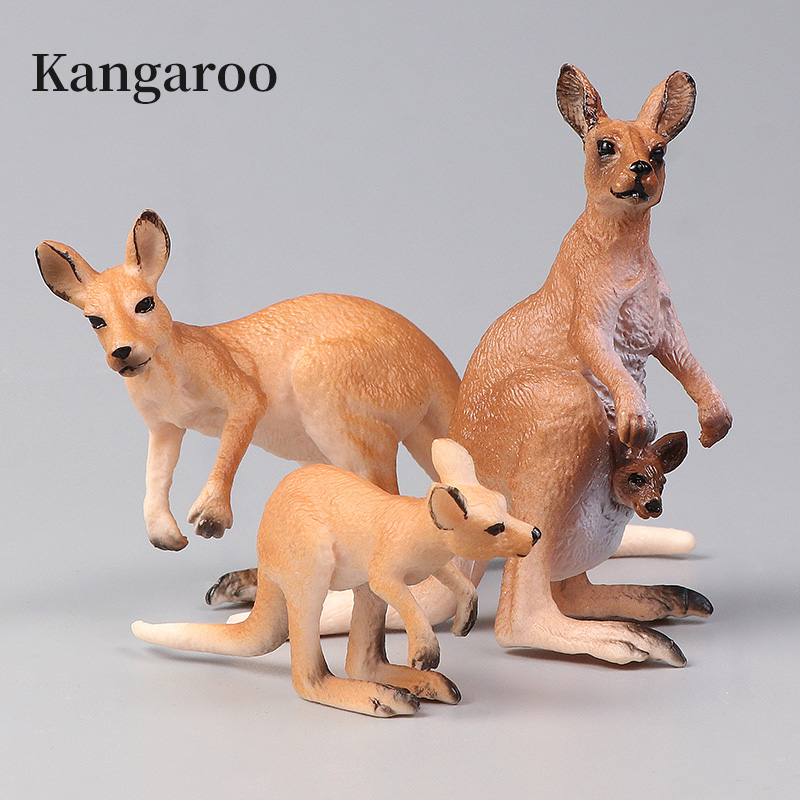 Новый набор кенгуру Wildlife W – обзор и цена Kangaroo Kids Education